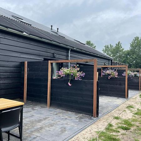 Cozy Holiday Home In Vrouwenpolder Close To The Beach Екстериор снимка